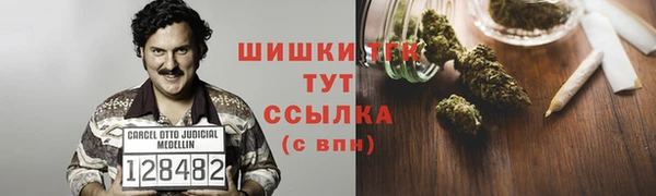 молекула духа Ладушкин