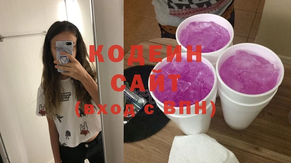 молекула духа Ладушкин